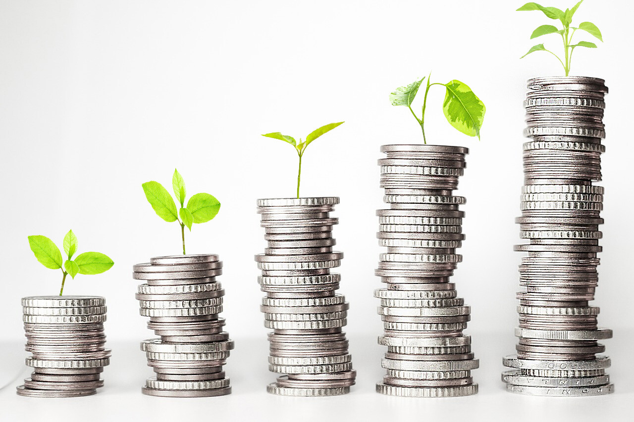 Foerderungen_Pflanzen.jpg Foerderungen_Pflanzen.jpg