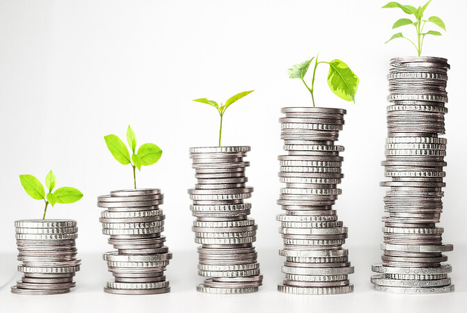 Foerderungen_Pflanzen